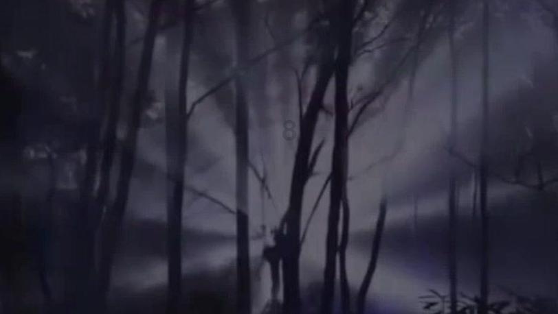 公主的大宫殿