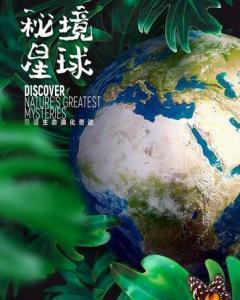 超奥特曼格斗