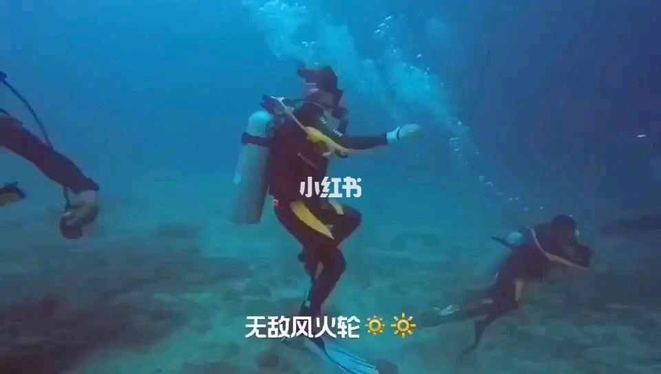 僵尸维京