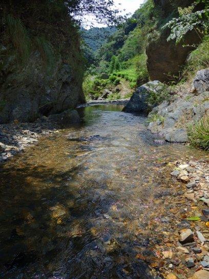 巴以和谈再陷僵局，美国提议遭拒，内塔尼亚胡为何不为所动？