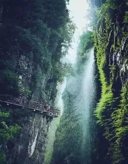 救援蝙蝠