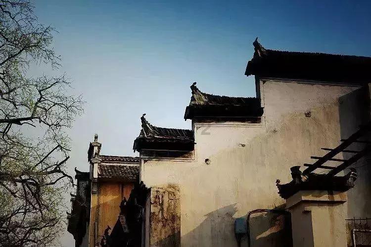 超级坦克消灭僵尸