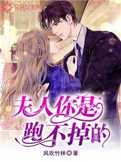 美丽的铅笔裙